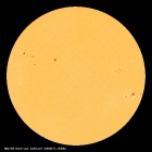 SDO/HMI Continuum Image of the Sun