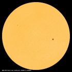 SDO/HMI Continuum Image of the Sun