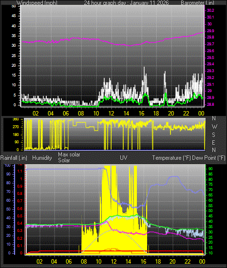 24 Hour Graph for Day 11