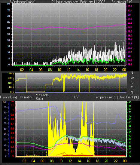 24 Hour Graph for Day 11