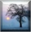 Mist, Overcast Mist, Overcast
