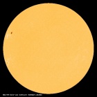 SDO/HMI Continuum Image of the Sun